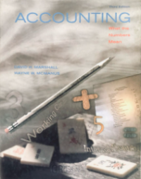 Image of Accounting: what the numbers Mean